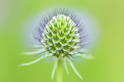 BUITEN BEELD Foto: 100591
