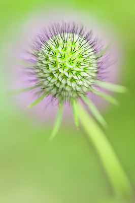 BUITEN BEELD Foto: 100593
