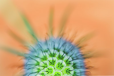 BUITEN BEELD Foto: 100602