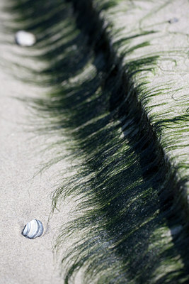 BUITEN BEELD Foto: 100632