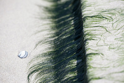 BUITEN BEELD Foto: 100633