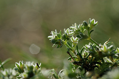 BUITEN BEELD Foto: 100676
