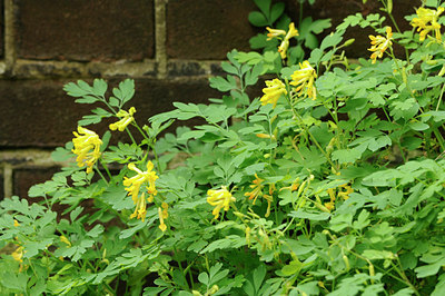 BUITEN BEELD Foto: 100726