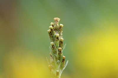 BUITEN BEELD Foto: 100770