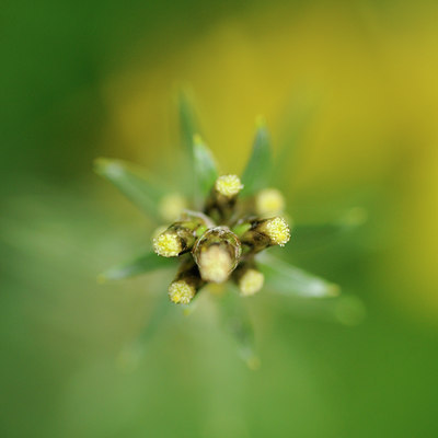 BUITEN BEELD Foto: 100771