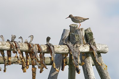 BUITEN BEELD Foto: 100837