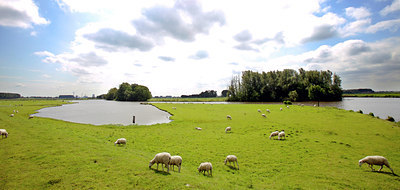 BUITEN BEELD Foto: 100882