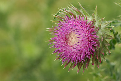 BUITEN BEELD Foto: 100891