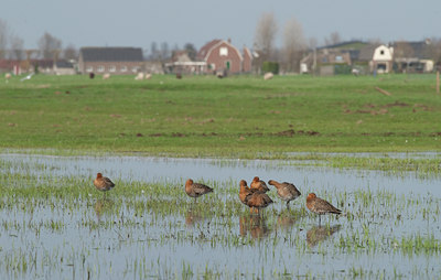 BUITEN BEELD Foto: 100903