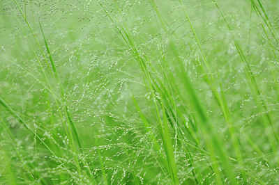 BUITEN BEELD Foto: 100960