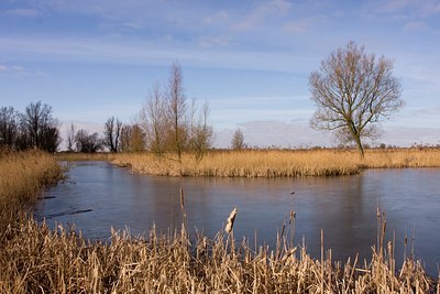 BUITEN BEELD Foto: 100974