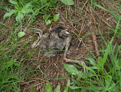 BUITEN BEELD Foto: 101019
