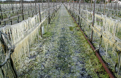 BUITEN BEELD Foto: 101035