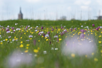 BUITEN BEELD Foto: 101129
