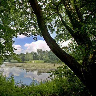 BUITEN BEELD Foto: 101134