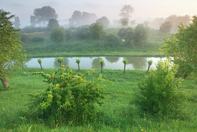 BUITEN BEELD Foto: 101195