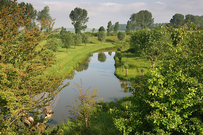 BUITEN BEELD Foto: 101230