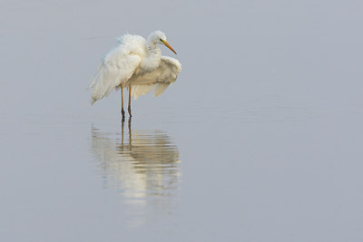BUITEN BEELD Foto: 101291