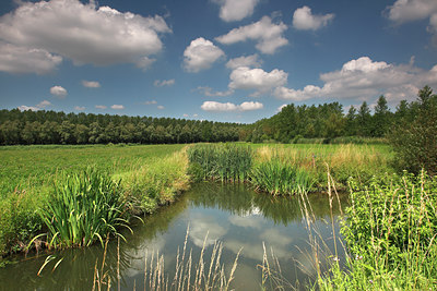 BUITEN BEELD Foto: 101320