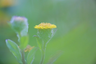 BUITEN BEELD Foto: 101328