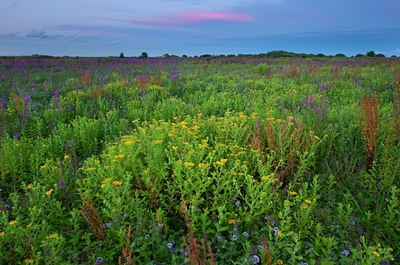 BUITEN BEELD Foto: 101360