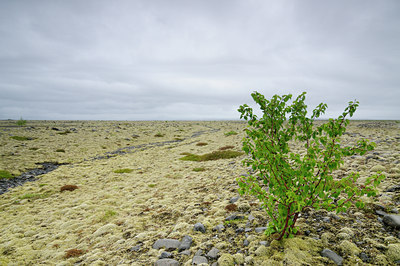 BUITEN BEELD Foto: 101401