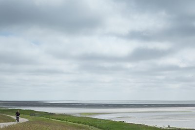 BUITEN BEELD Foto: 101421