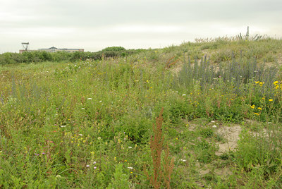 BUITEN BEELD Foto: 101423