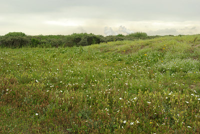 BUITEN BEELD Foto: 101425