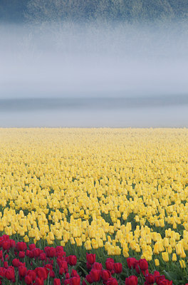BUITEN BEELD Foto: 101444