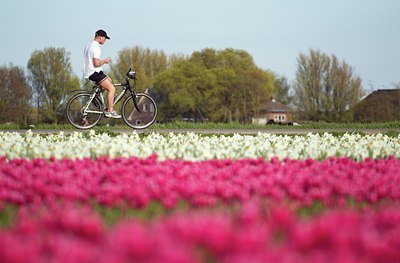 BUITEN BEELD Foto: 101448