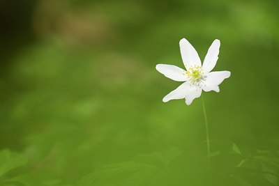 BUITEN BEELD Foto: 101453