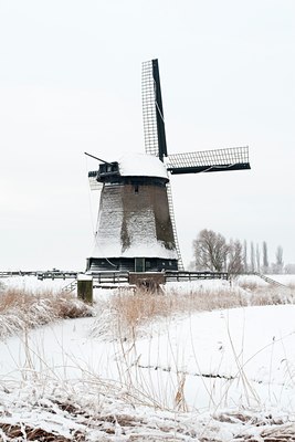 BUITEN BEELD Foto: 101460