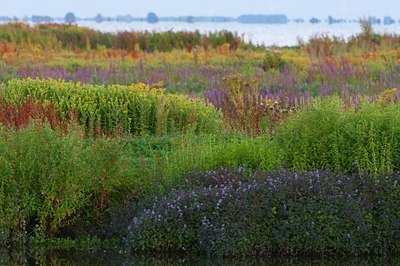 BUITEN BEELD Foto: 101539