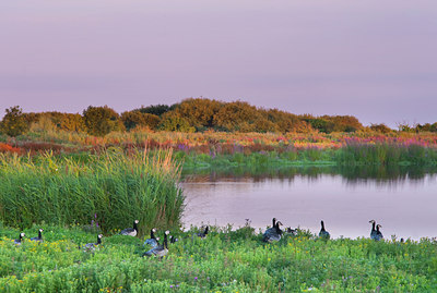 BUITEN BEELD Foto: 101547