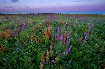 BUITEN BEELD Foto: 101549