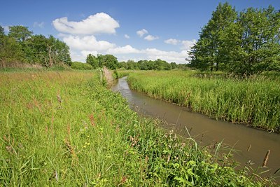 BUITEN BEELD Foto: 101554