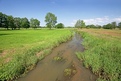 BUITEN BEELD Foto: 101560