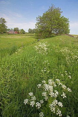 BUITEN BEELD Foto: 101565