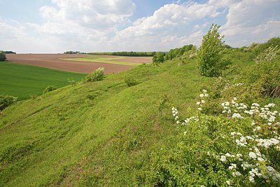 BUITEN BEELD Foto: 101573