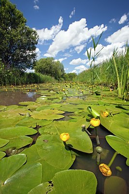 BUITEN BEELD Foto: 101574