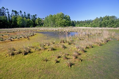 BUITEN BEELD Foto: 101576