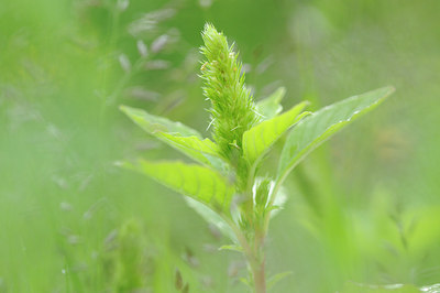 BUITEN BEELD Foto: 101591