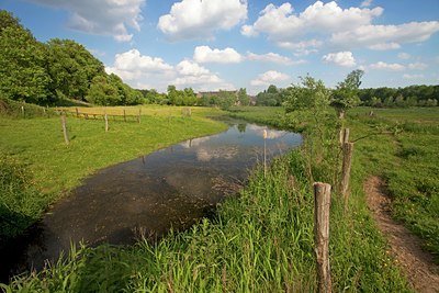 BUITEN BEELD Foto: 101601