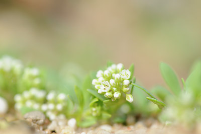 BUITEN BEELD Foto: 101620