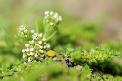 BUITEN BEELD Foto: 101624