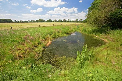 BUITEN BEELD Foto: 101639