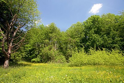 BUITEN BEELD Foto: 101649