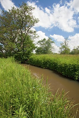 BUITEN BEELD Foto: 101653