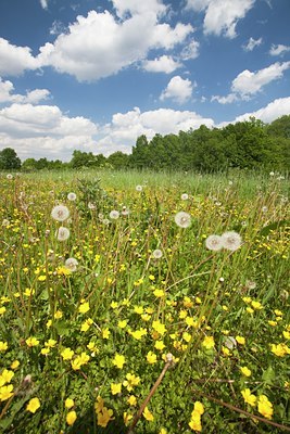 BUITEN BEELD Foto: 101670